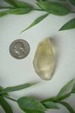 Raw Libyan Desert Glass