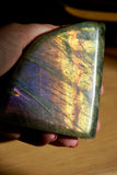 1.6LB PurpleLabradorite Freeform