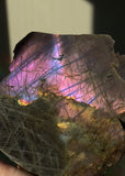 4LB Purple Labradorite Freeform