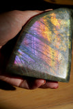 1.6LB PurpleLabradorite Freeform