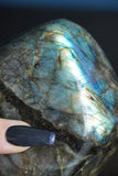 Rainbow Labradorite Freeform