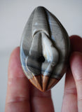 Polychrome Jasper Labia/Vagina