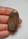 Polychrome Jasper Cabochon