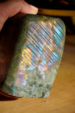 1.8LB Rainbow Labradorite Freeform