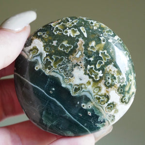 green plume 7th vein ocean jasper palm stone 