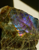 4LB Purple Labradorite Freeform