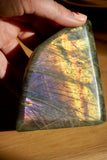 1.6LB PurpleLabradorite Freeform