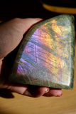 1.6LB PurpleLabradorite Freeform